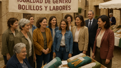 Gráfico sobre distribución de subvenciones y entidades beneficiadas en Cuenca