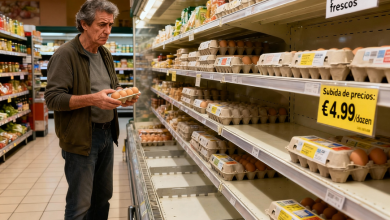 Una tormenta perfecta se cierne sobre uno de los alimentos más básicos de la dieta española: el huevo 5 Granja avícola afectada por la gripe aviar en España